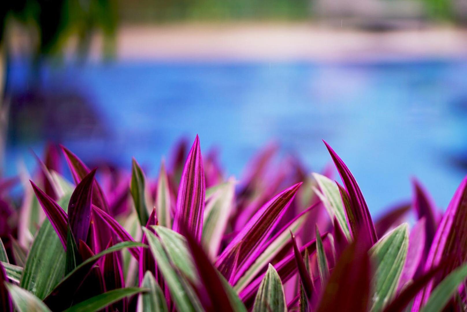 Serendip Stone Hotel And Bungalow Kandy Exterior photo